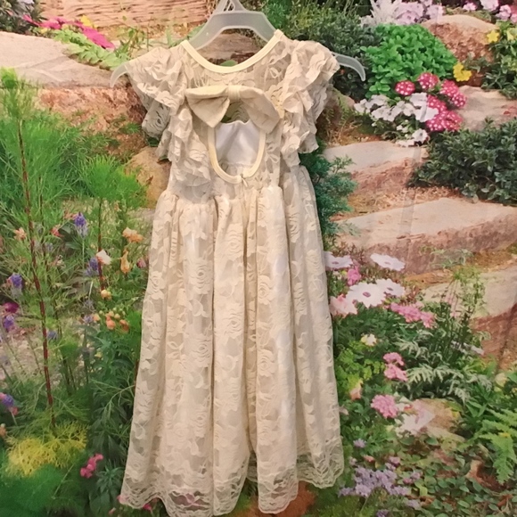 Other - SALE STUNNING lace flower girl dress ruffle sleeve